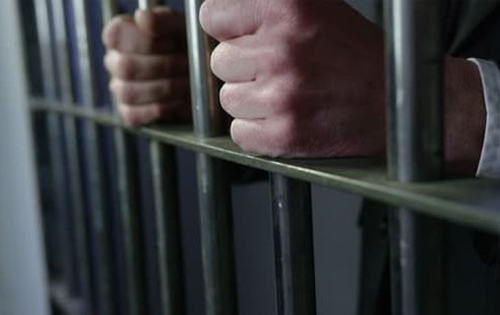 Patiala House Court bail advoacte