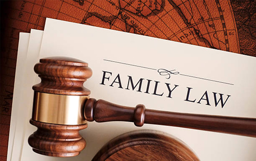Patiala House Court Family Disputes Lawyer